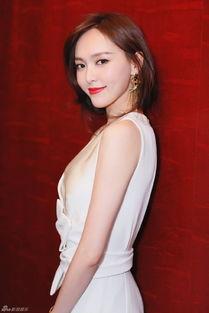 张龙前妻爆料视频大全,揭秘婚姻内幕与情感纠葛 第1张 张龙前妻爆料视频大全,揭秘婚姻内幕与情感纠葛 第1张